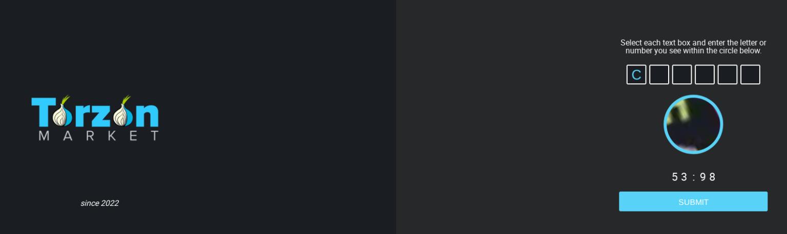 TorZon Market simple beginner-friendly interface